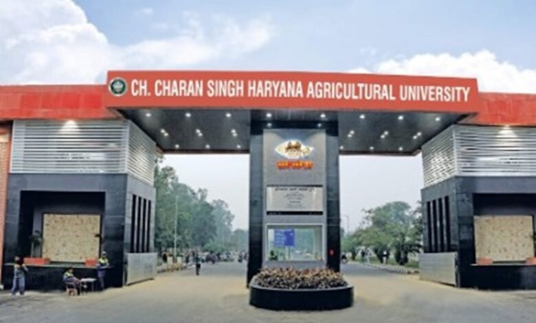 Haryana News: असिस्टेंट प्रोफेसर राधेश्याम गिरफ्तार, वीडियो को लेकर हुई कार्रवाई हरियाणा के कृषि विश्वविद्यालय में छात्रों पर हुए लाठीचार्ज के मामले में असिस्टेंट प्रोफेसर राधेश्याम को पुलिस ने गिरफ्तार कर लिया है