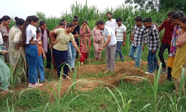 Rewari News: देशी गाय के गोबर के क्या है फायदे: यशपाल खोला धारूहेड़ा: दिल्ली जयपुर हाईवे स्थित एग्रो कृषि फार्म पर जागरूकता कार्यक्र्म आयोजित किया गया। इस मौके पर कृषि फार्म पहुंचे विद्यार्थियों को जैविक खेत, टपका सिचाई, देशी गाय के पालने के फायदों के प्रति जागरूक किया